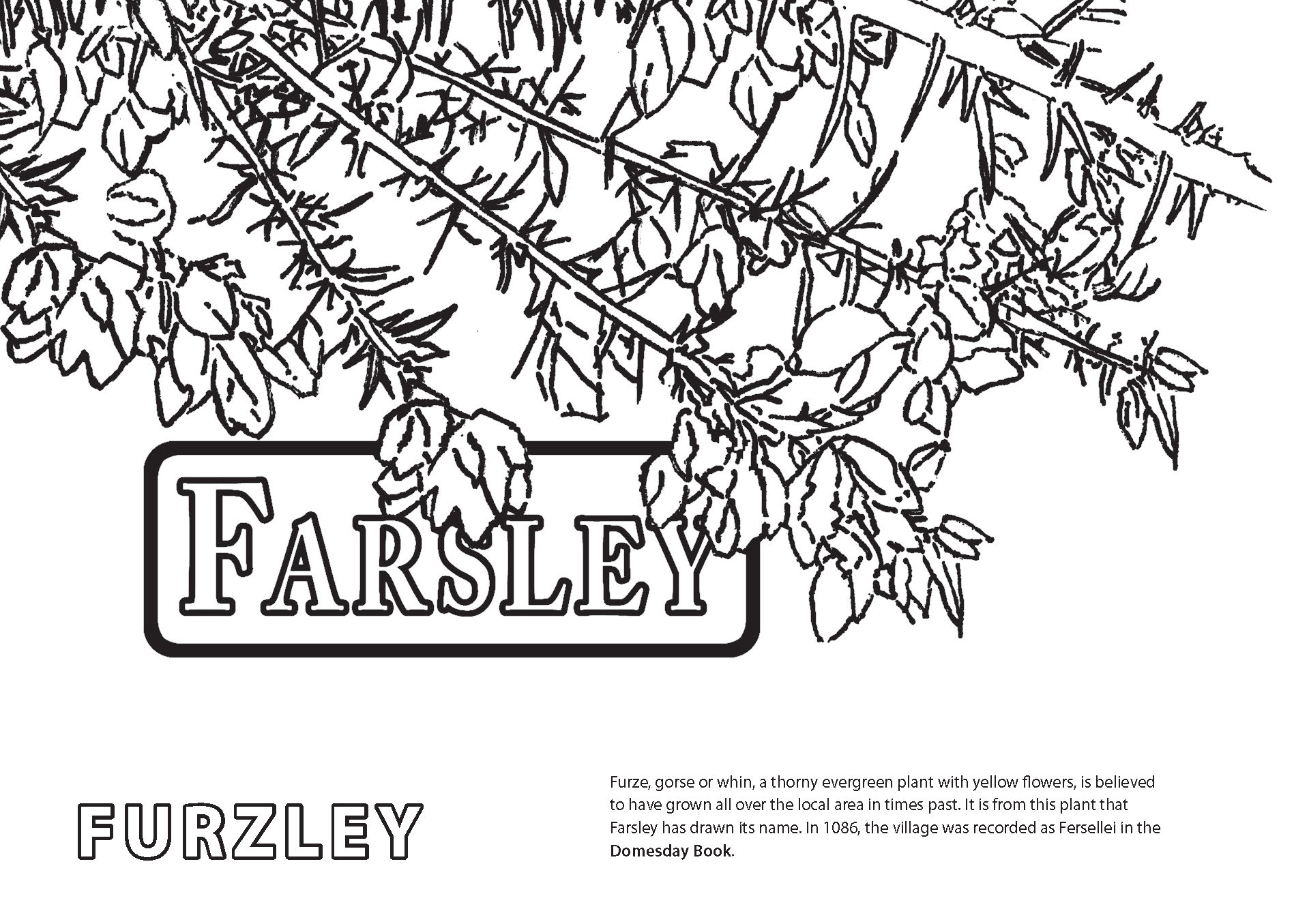 Farsley a colouring book 365LeedsStories